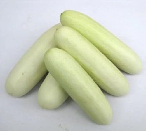 Cucumber White Seeds – Heirloom, Non-GMO, High Germination Organic Garden Seeds Planting