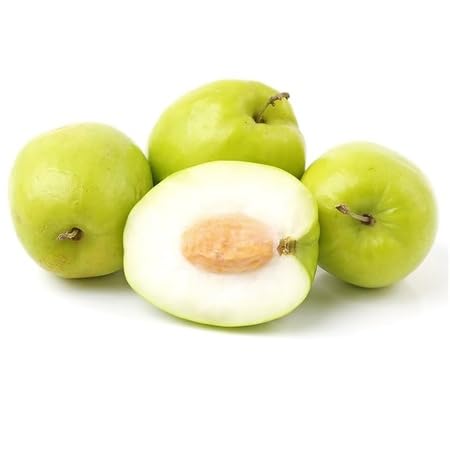 Jujube Seeds – Heirloom, Non-GMO, High Germination Organic Garden Seeds