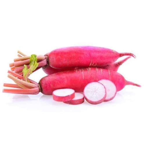 Pink Radish Seeds – Heirloom, Non-GMO, High Germination Organic Garden Seeds Planting