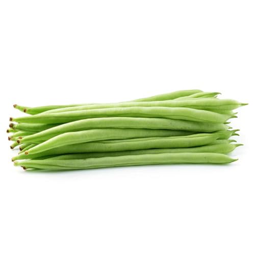 Green Beans Seeds – Heirloom, Non-GMO, High Germination Organic Garden Seeds Planting