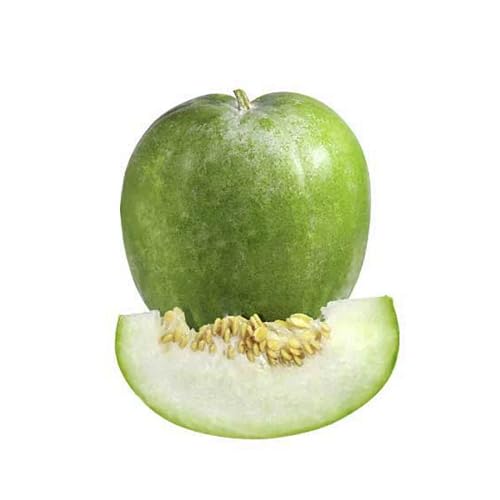 Pumpkin Planting White Seeds – Heirloom, Non-GMO, High Germination Organic Garden Seeds Planting