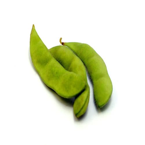 Soyabeans Green Seeds – Heirloom, Non-GMO, High Germination Organic Garden Seeds Planting