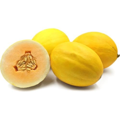 Yellow Muskmelon Seeds – Heirloom, Non-GMO, High Germination Organic Garden Seeds