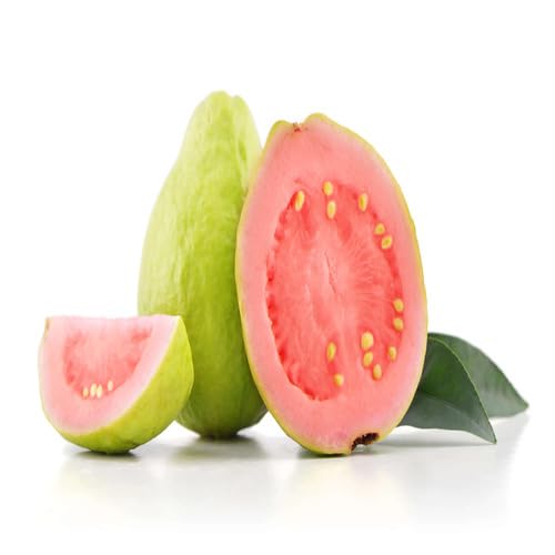 Pink Guava Seeds – Heirloom, Non-GMO, High Germination Organic Garden Seeds