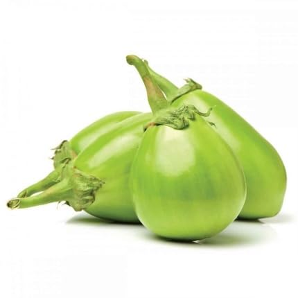 Green Eggplant Seeds – Heirloom, Non-GMO, High Germination Organic Garden Seeds Planting
