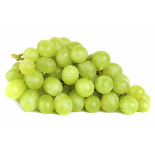 Grape Seeds – Heirloom, Non-GMO, High Germination Organic Garden Seeds
