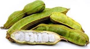 Inga Edulis Plant Seeds – Heirloom Non-GMO High Germination Organic Garden Seeds for Planting Tropical Delight Seeds for Planting
