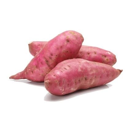 Red Sweet Potato Seeds – Heirloom, Non-GMO, High Germination Organic Garden Seeds Planting