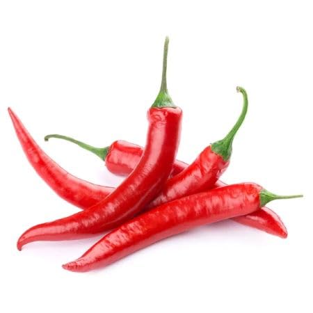 Chilli Seeds – Heirloom, Non-GMO, High Germination Organic Garden Seeds Planting