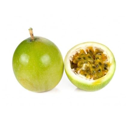 Green Passion Seeds Heirloom Non-GMO High Germination Organic Garden Seeds for Planting