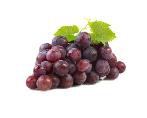 Grapes Seeds Red – Heirloom, Non-GMO, High Germination Organic Garden Seeds