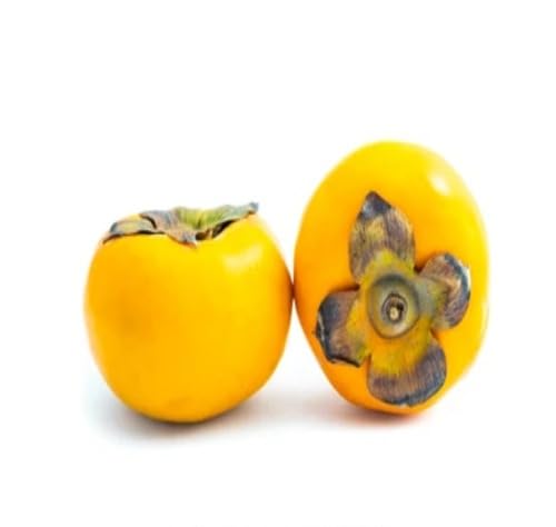 Yellow Permission Seeds – Heirloom, Non-GMO, High Germination Organic Garden Seeds