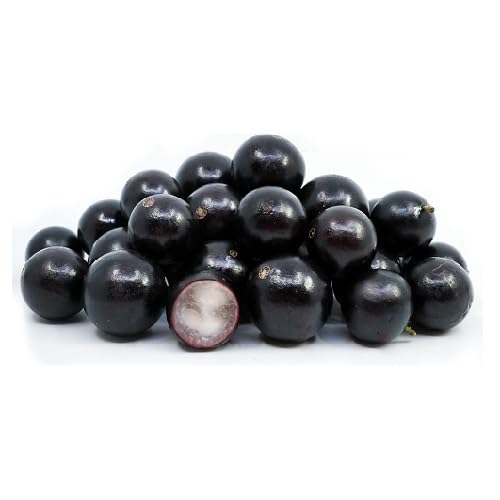 Black Jabuticaba Seeds – Heirloom, Non-GMO, High Germination Organic Garden Seeds