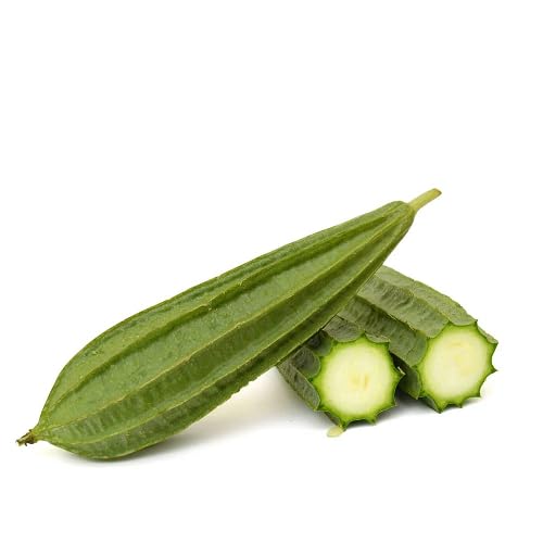 Ridge Gourd Green Seeds – Heirloom, Non-GMO, High Germination Organic Garden Seeds Planting