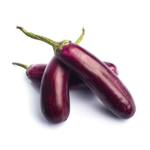 Purple Brinjal Seeds – Heirloom, Non-GMO, High Germination Organic Garden Seeds Planting