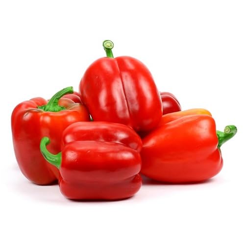 Red Capsicum Seeds – Heirloom, Non-GMO, High Germination Organic Garden Seeds Planting