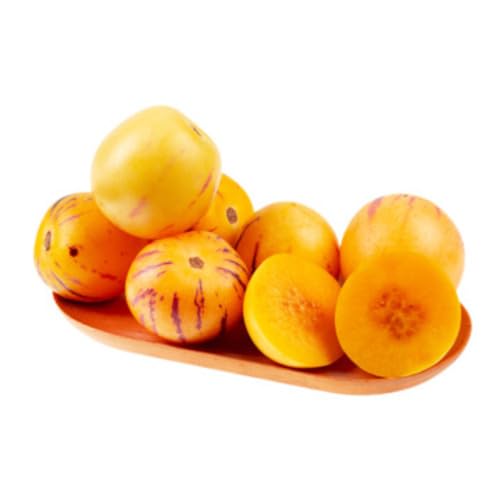 Orange Ginseng Seeds – Heirloom, Non-GMO, High Germination Organic Garden Seeds