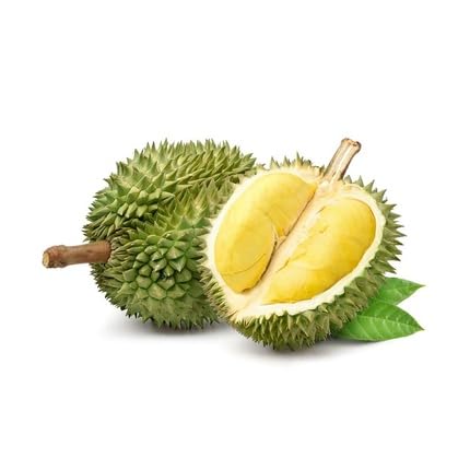 Durian Seeds – Heirloom, Non-GMO, High Germination Organic Garden Seeds