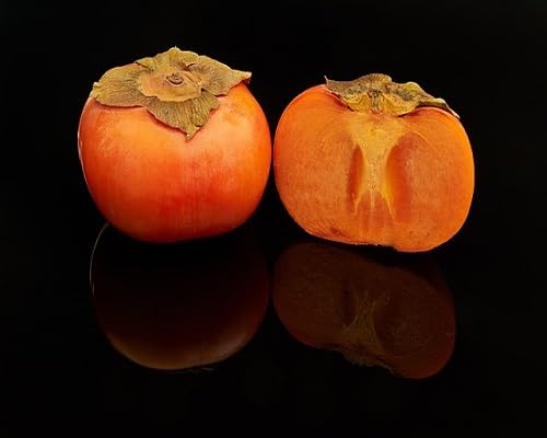 Orange Persimmon Fruits Seeds – Heirloom, Non-GMO, High Germination Organic Garden Seeds