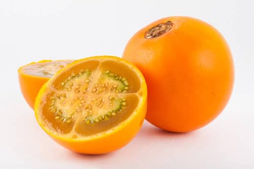 Lulo Seeds Organic Heirloom Non-GMO High Germination Organic Garden Seeds for Planting