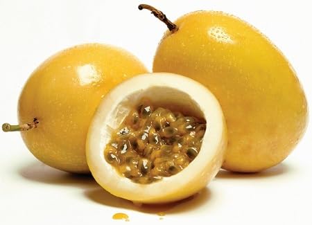 Passion Fruit Seeds – Heirloom, Non-GMO, High Germination Organic Garden Seeds