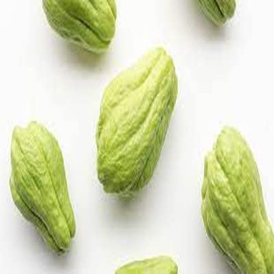 Green Squash Seeds (Hybrid F1) Seeds – High Germination, Non-GMO, Heirloom Quality Vegetable Garden Seeds
