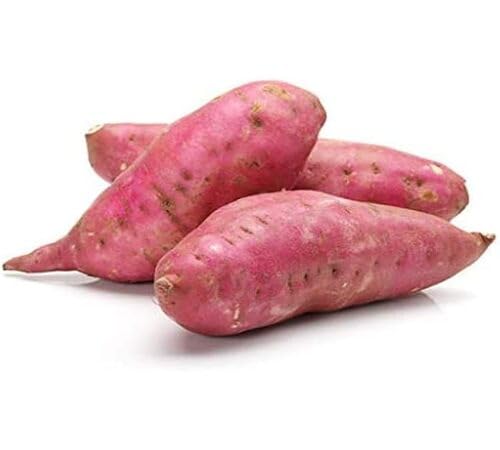 Sweet Potato Pink Seeds – Heirloom, Non-GMO, High Germination Organic Garden Seeds Planting