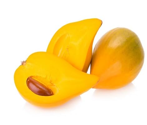 Yellow Lucuma Seeds – Heirloom, Non-GMO, High Germination Organic Garden Seeds