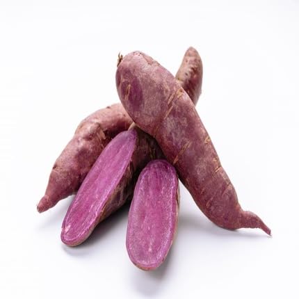 Purple Potato Seeds – Heirloom, Non-GMO, High Germination Organic Garden Seeds Planting