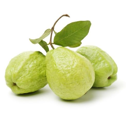 Green Guava Seeds – Heirloom, Non-GMO, High Germination Organic Garden Seeds