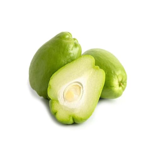 Green Chayote Seeds – Heirloom, Non-GMO, High Germination Organic Garden Seeds Planting