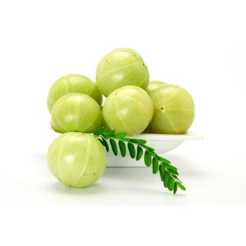 Green Gooseberry Seeds – Heirloom, Non-GMO, High Germination Organic Garden Seeds