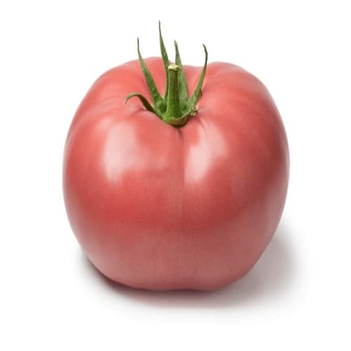 Pink Tomato Seeds – Heirloom, Non-GMO, High Germination Organic Garden Seeds Planting