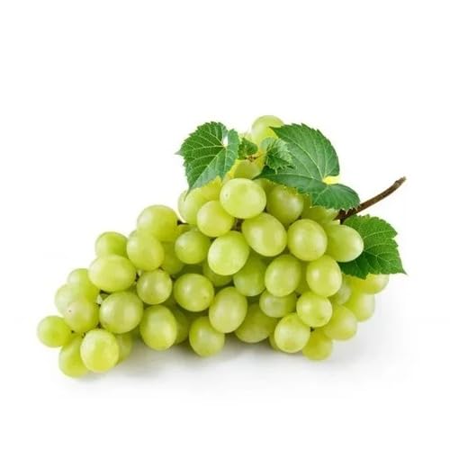 Green Grapes Seeds – Heirloom, Non-GMO, High Germination Organic Garden Seeds