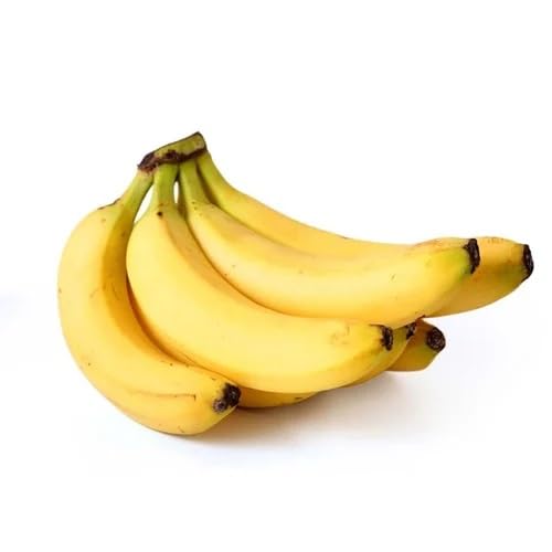 Semillas de plátano amarillas reliquia, sin OMG, de alta germinación, orgánicas, para plantar en el jardín.