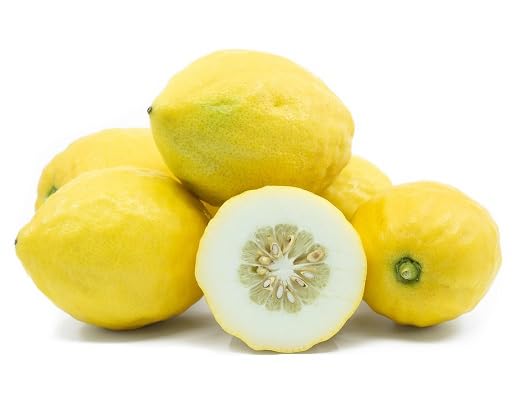 Etrog Seeds – Heirloom, Non-GMO, High Germination Organic Garden Seeds