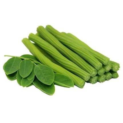 Green Moringa Seeds – Heirloom, Non-GMO, High Germination Organic Garden Seeds Planting