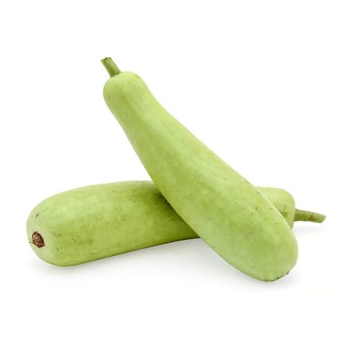 Bottle Gourd Green Seeds – Heirloom, Non-GMO, High Germination Organic Garden Seeds Planting