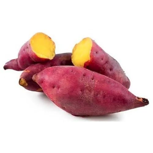 Potato Purple Seeds – Heirloom, Non-GMO, High Germination Organic Garden Seeds Planting