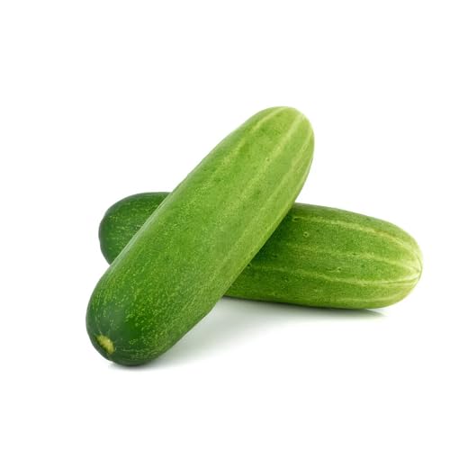 Cucumber Green Seeds – Heirloom, Non-GMO, High Germination Organic Garden Seeds Planting