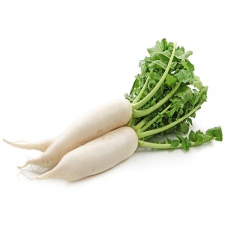 Radish White Seeds – Heirloom, Non-GMO, High Germination Organic Garden Seeds Planting