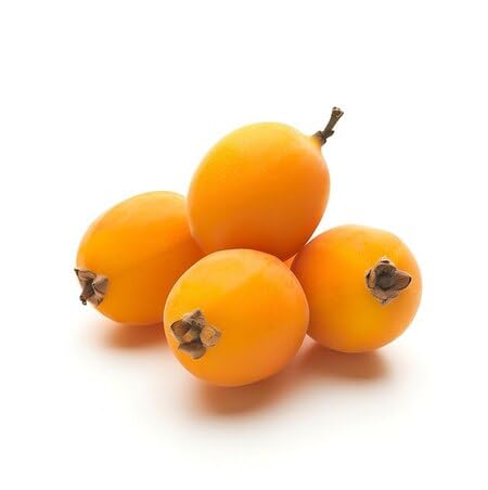 Loquat Seeds Organic Heirloom Non-GMO High Germination Organic Garden Seeds for Planting