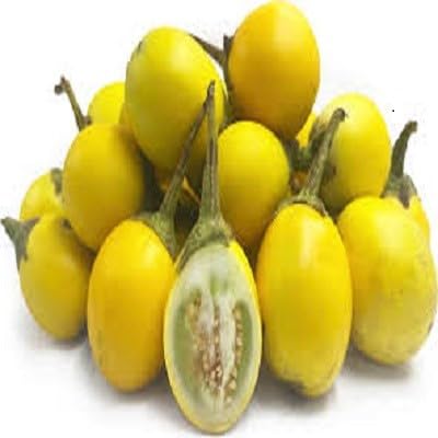 Eggplant Yellow Seeds – Heirloom, Non-GMO, High Germination Organic Garden Seeds Planting