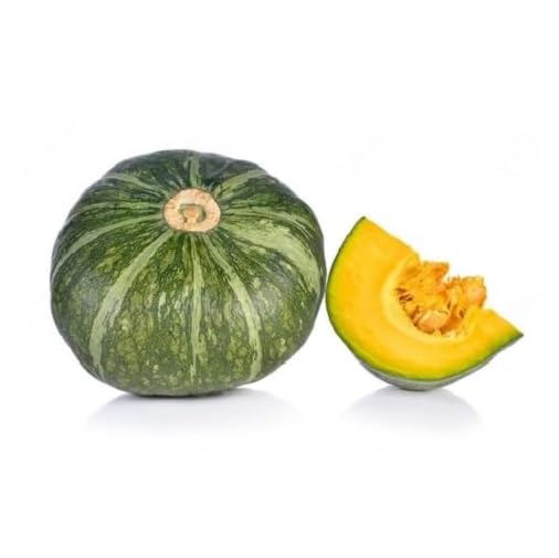 Green Pumpkin Seeds – Heirloom, Non-GMO, High Germination Organic Garden Seeds Planting