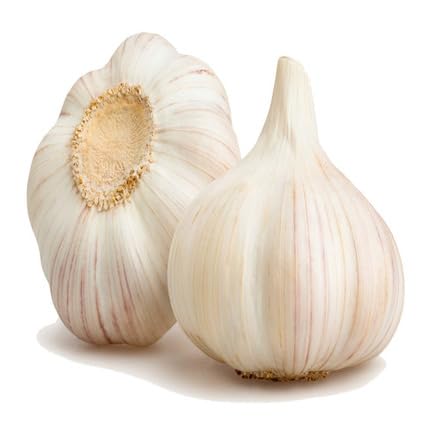 Garlic White Seeds – Heirloom, Non-GMO, High Germination Organic Garden Seeds Planting