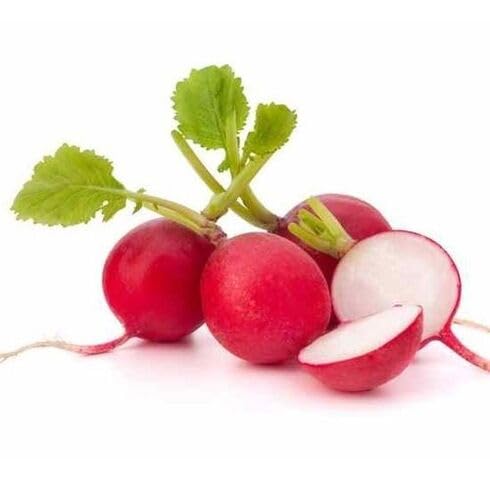 Red Radish Seeds – Heirloom, Non-GMO, High Germination Organic Garden Seeds Planting