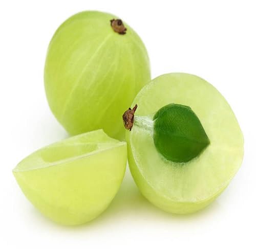 Green Gooseberry Fruit Seeds – Heirloom, Non-GMO, High Germination Organic Garden Seeds