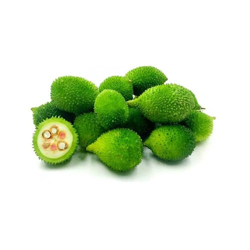 Green Kantola Seeds – Heirloom, Non-GMO, High Germination Organic Garden Seeds Planting