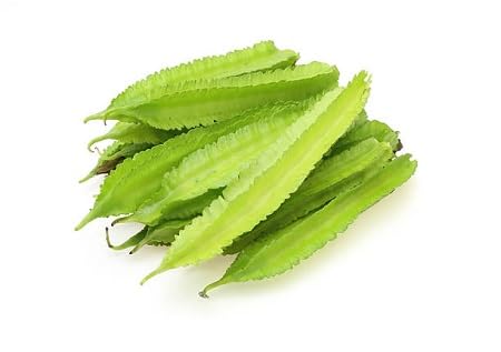 Winged Bean Seeds – Heirloom, Non-GMO, High Germination Organic Garden Seeds Planting