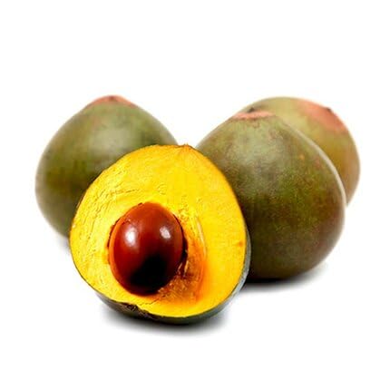 Green Lucuma Seeds – Heirloom, Non-GMO, High Germination Organic Garden Seeds
